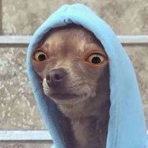 Meet your Posher, Stable dream